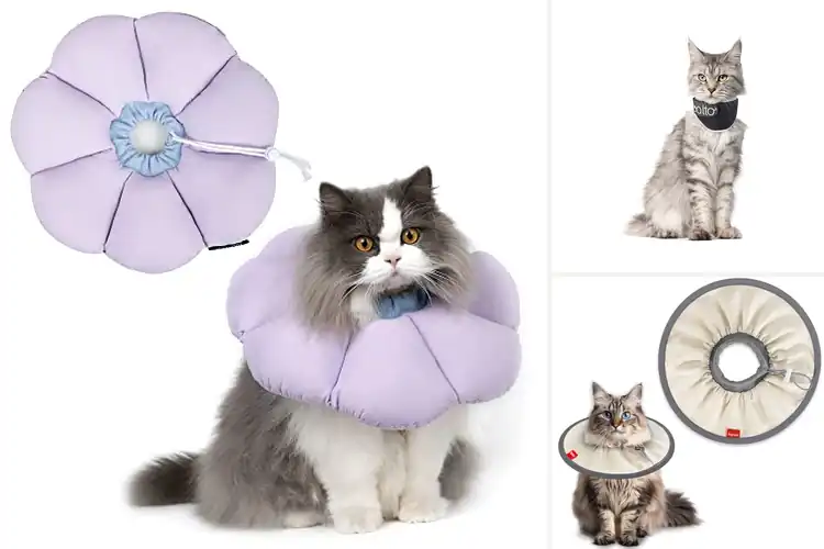 Detailed view of Best E-Collar Alternative For Cat