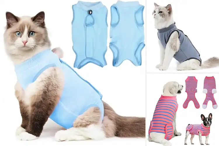 Detailed view of Best E-Collar Alternative Shirt For Cats
