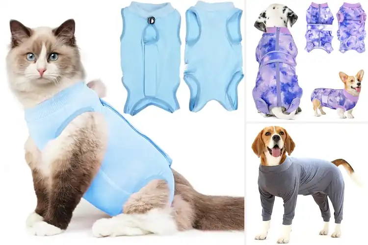 Detailed view of Best E-Collar Alternative Shirts: 10 Comfy Recovery Picks