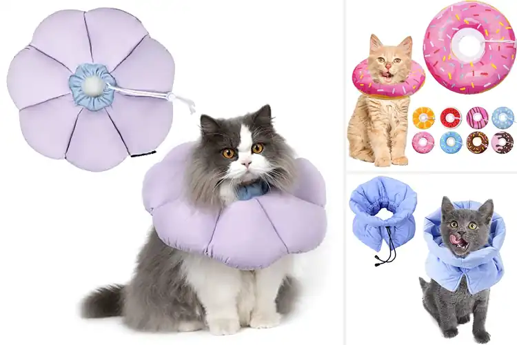 Detailed view of Best E-Collar Alternatives For Cats