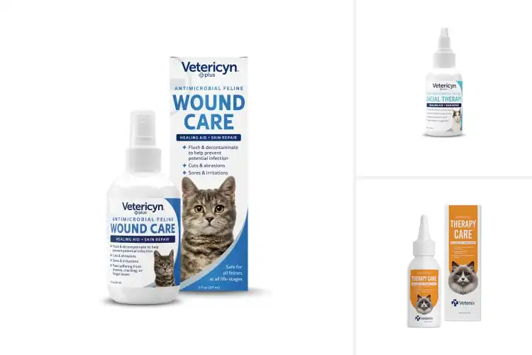 Detailed view of Best Feline Skin Disease Solutions
