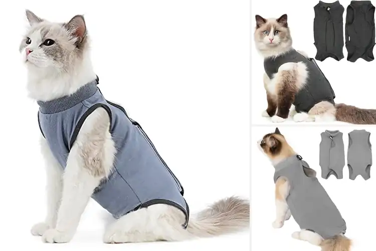 Detailed view of Best Grey Cat Recovery Suit Size M