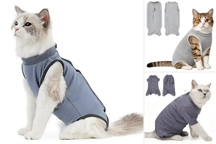 Detailed view of Best Grey Cat Recovery Suit Small: 10 Cozy Healing Solutions