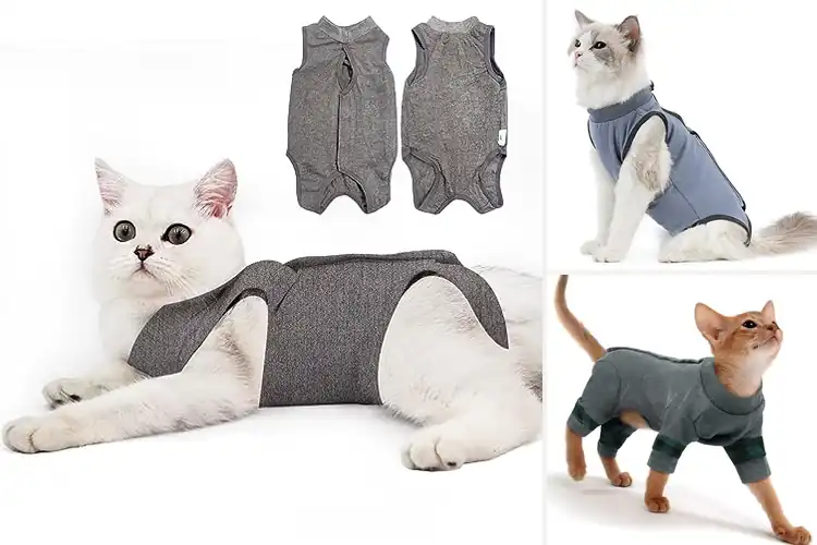 Detailed view of Best Grey Cat Surgery Shirt Size M