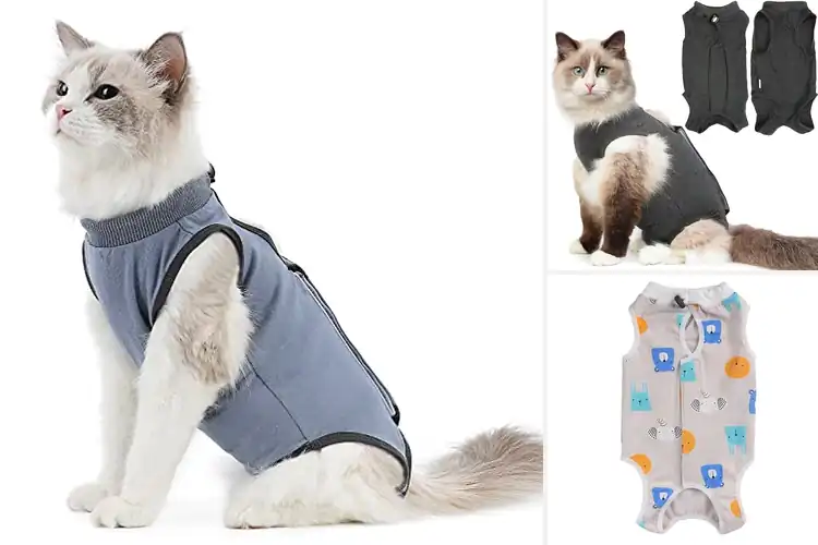Detailed view of Best Grey M Cat Recovery Suit