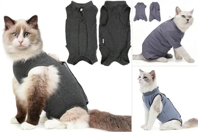 Detailed view of Best Grey M Cat Suit: Top Picks for Comfort & Recovery