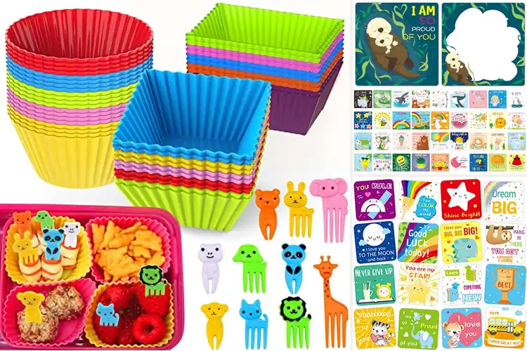 Detailed view of Best Kids Lunch Gear: 10 Fun & Fresh Picks for Happy Meals