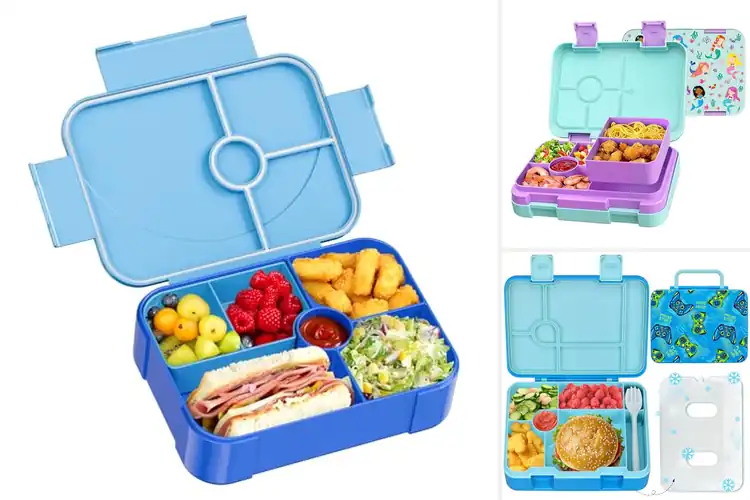 Detailed view of Best Lunch Box For Kids 6 Compartment