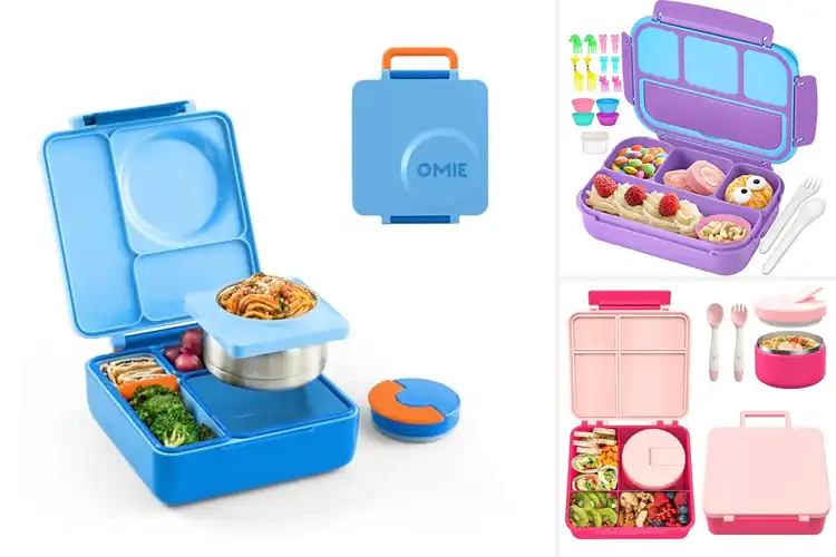 Detailed view of Best Lunch Boxes for Kids