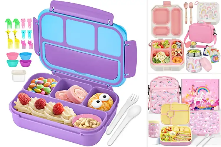 Detailed view of Best Lunch Sets for Girls: 10 Adorable & Practical Picks