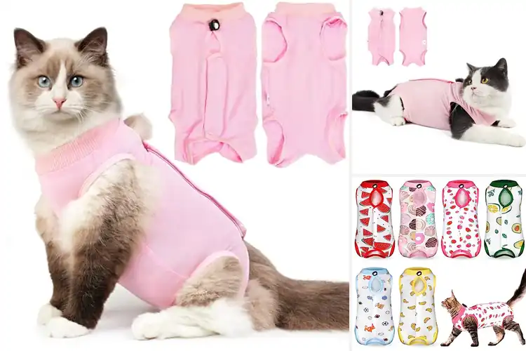 Detailed view of Best Medium Cat Recovery Suit