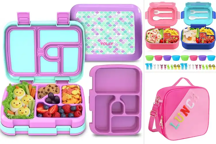 Detailed view of Best Picnic Lunch Kits For Kids: Leak-Proof, Fresh & Fun