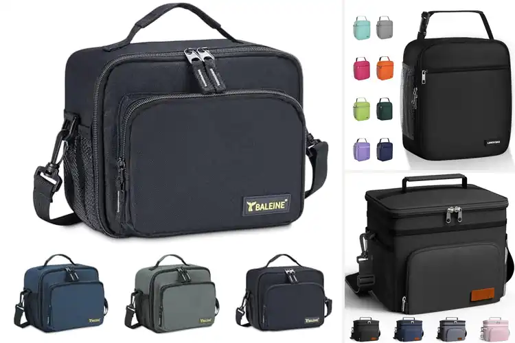 Detailed view of Best Picnic Lunch Kits: Fresh Meals, Smooth Routines