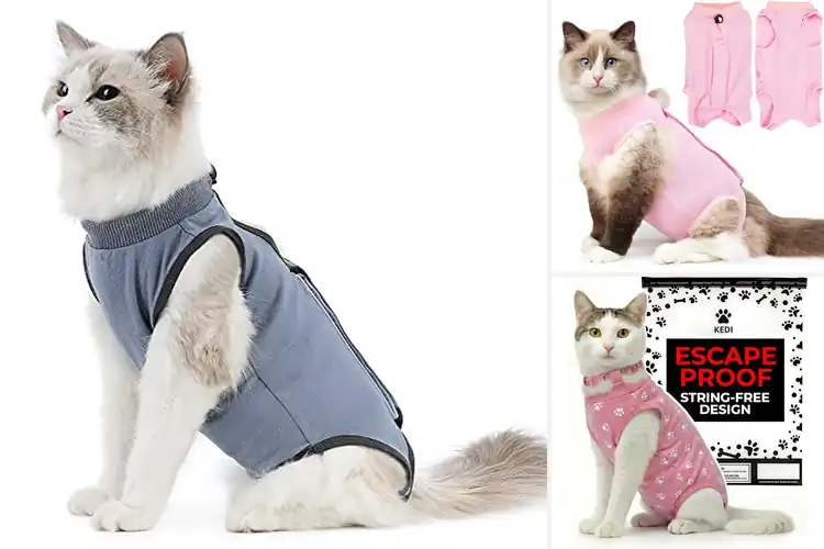 Detailed view of Best Post Surgical Cat Shirt for Comfort & Healing