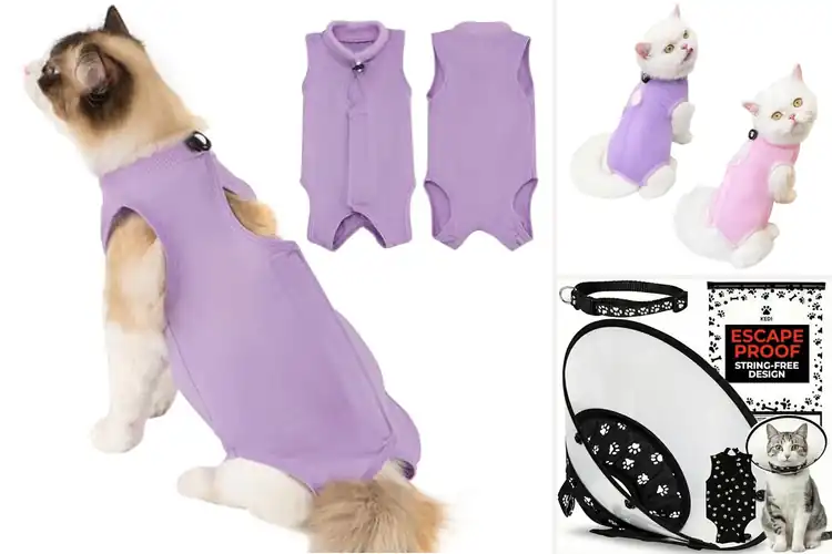 Detailed view of Best Postoperative Cat Care Garment