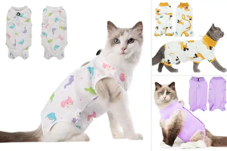 Detailed view of Best Postoperative Cat Shirt