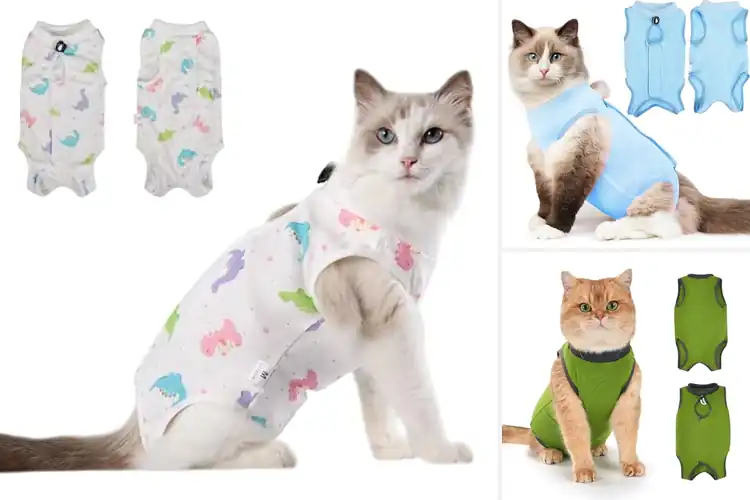 Detailed view of Best Postoperative Cat Shirts