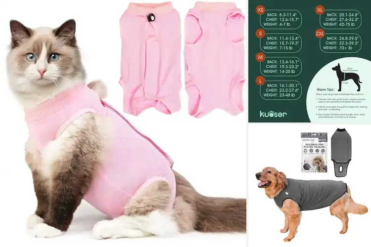 Detailed view of Best Recovery Suits