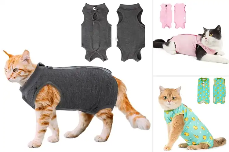 Detailed view of Best Skin Disease Suits For Cats