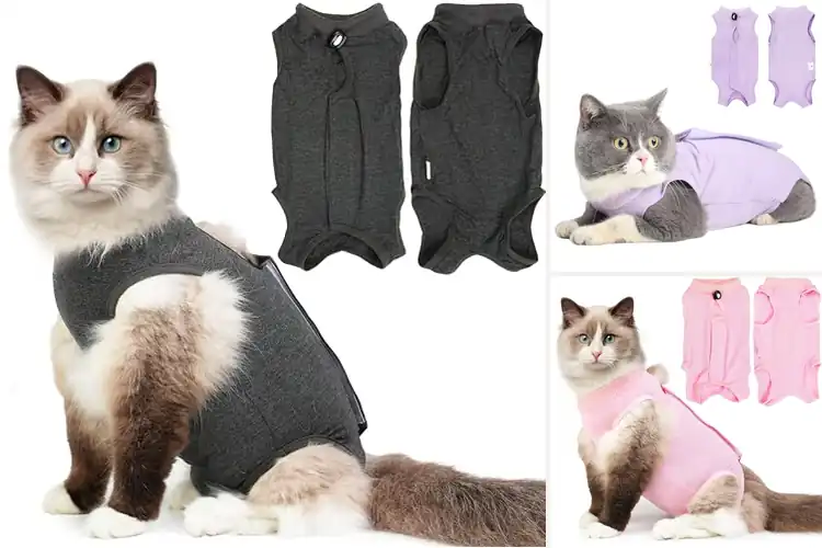 Detailed view of Best Skin Healing Cat Wear: Comfortable Recovery Solutions