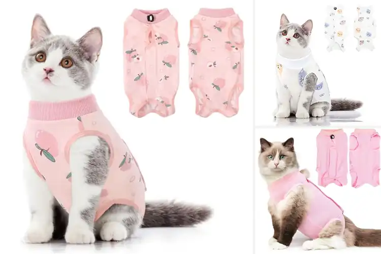 Detailed view of Best SUNFURA Cat Recovery Wear