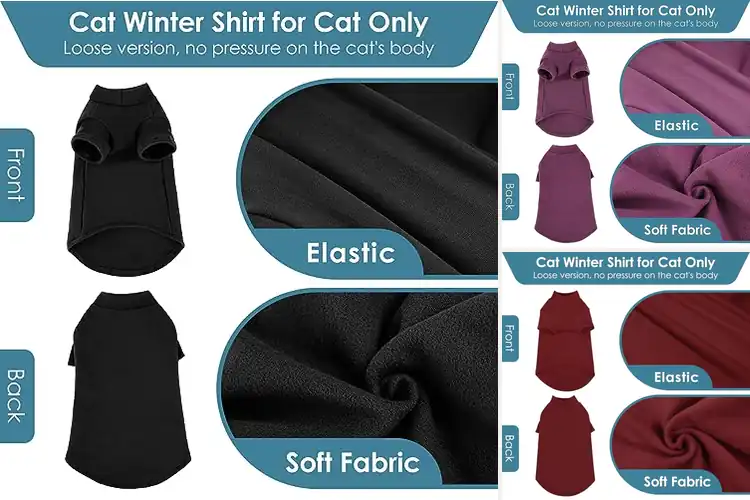 Detailed view of Best SUNFURA Cat Shirt