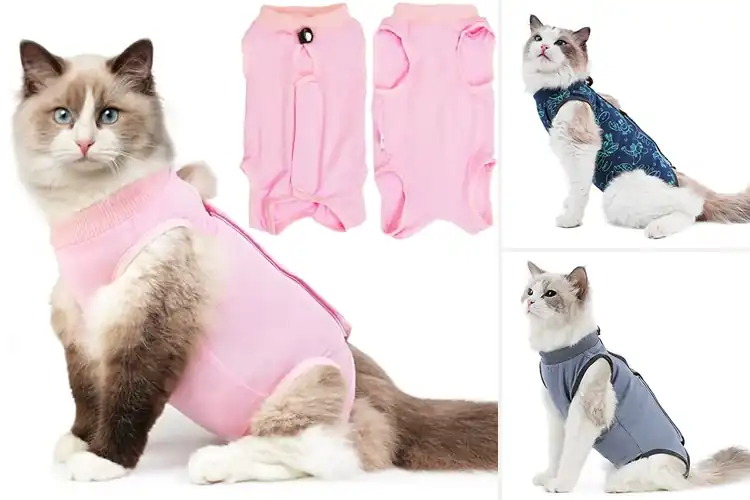 Detailed view of Best Surgical Recovery Cat Wear