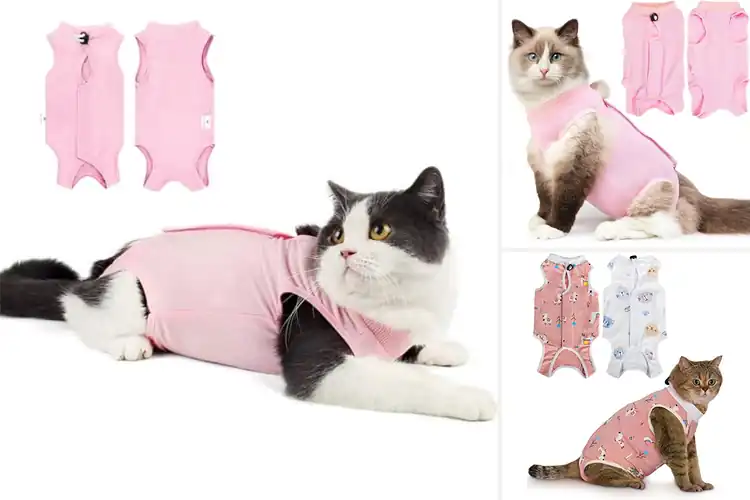 Detailed view of Best Surgical Spay Suits For Cats: Cozy Healing Solutions