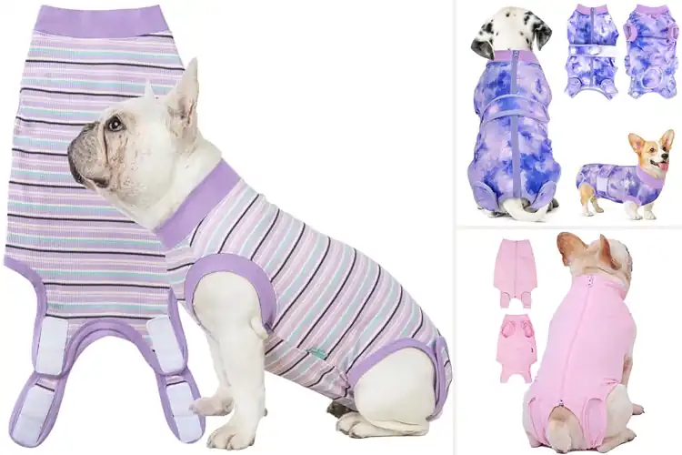 Detailed view of Best Surgical Spay Suits