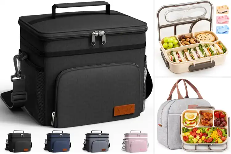 Detailed view of Best Travel Lunch Boxes