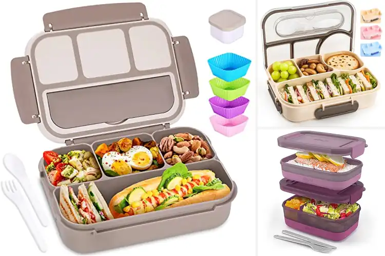 Detailed view of Best Travel Lunch Containers