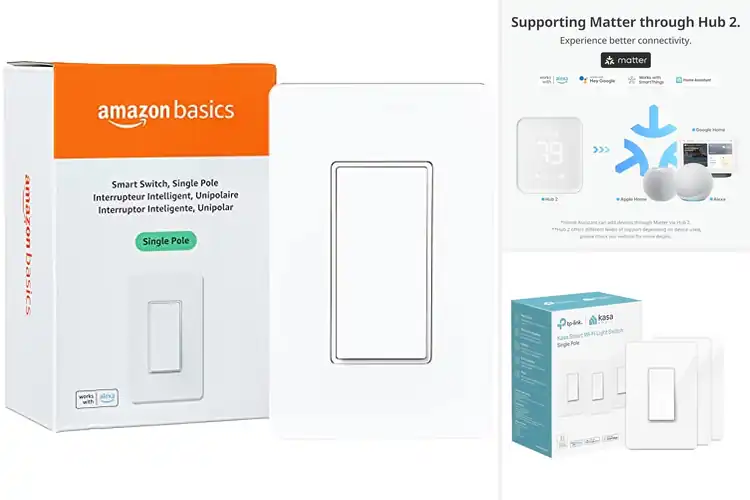 Detailed view of Best Voice-Controlled Smart Switches
