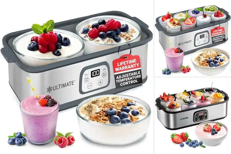Detailed view of Best Yogurt Makers